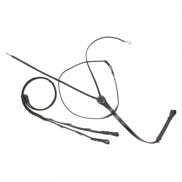 Kavalkade Thiedemann-/Köhler-Zügel