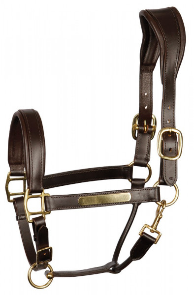 Harry's Horse Lederhalfter Anatomic Braun