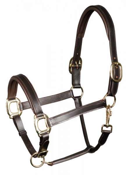 Harrys Horse Lederhalfter gepolstert - braun