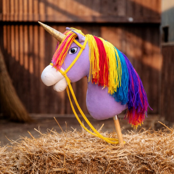 Kavalkade Unicorn Academy Hobby Horses UCA