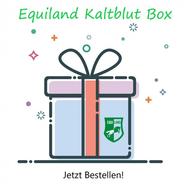 Überraschungsbox Pferd & Reiter *Kaltblut*