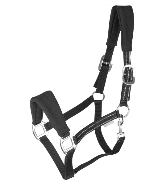 Waldhausen Halfter Alcantara