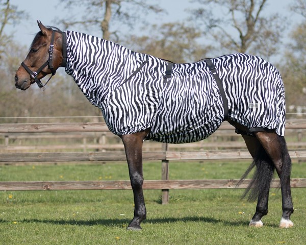 QHP Ekzemdecke zebra