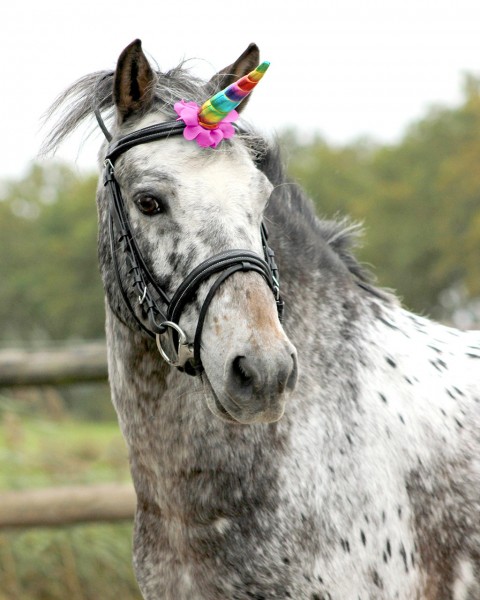 Einhorn Horn Floral Stirnband - Magisches Kopfaccessoire Für Party & Cosplay