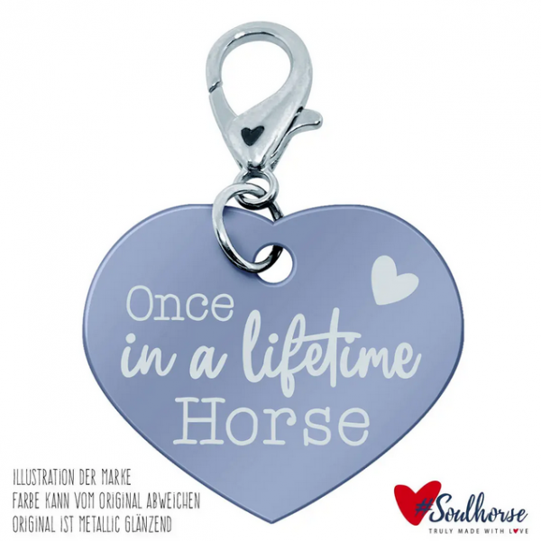 Soulhorse Marke "Once in a lifetime horse" Pferdemarke light blue