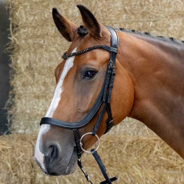 Harry´s Horse Trense Anatomic Black Crystal