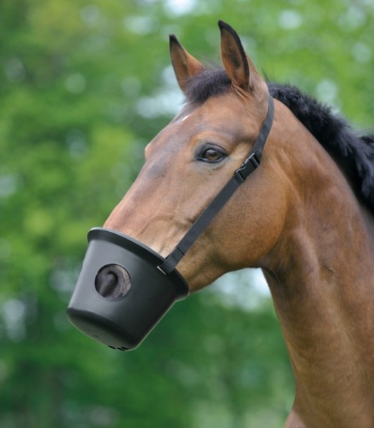 Waldhausen Maulkorb - Warmblut