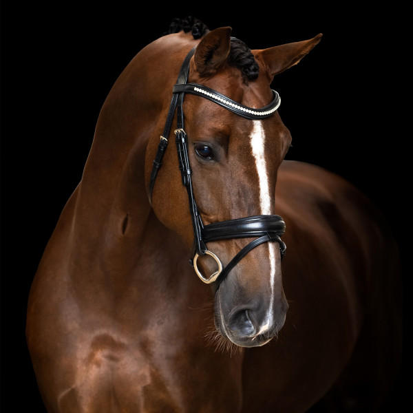 Imperial Riding Trense IRH englisch kombiniert