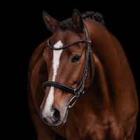 Kieffer Trensenzaum / Gebissloser Zaum Kieffer Ultrasoft® Ava schwarz Kieffer Trensenzaum / Gebissloser Zaum Kieffer Ultrasoft® Ava schwarz