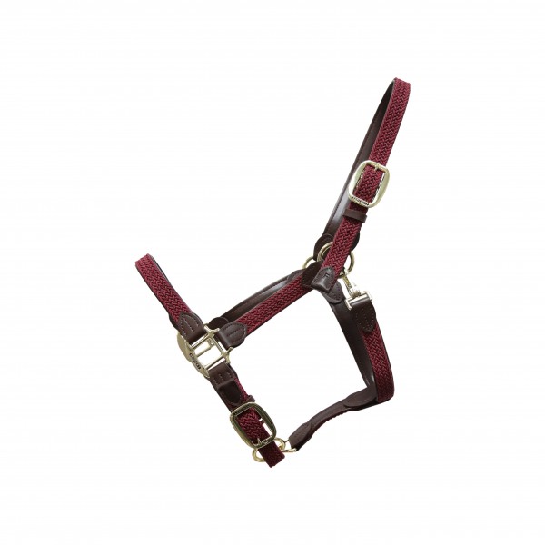 Kentucky Halfter Nylon Geflochten Plaited Nylon - bordeaux