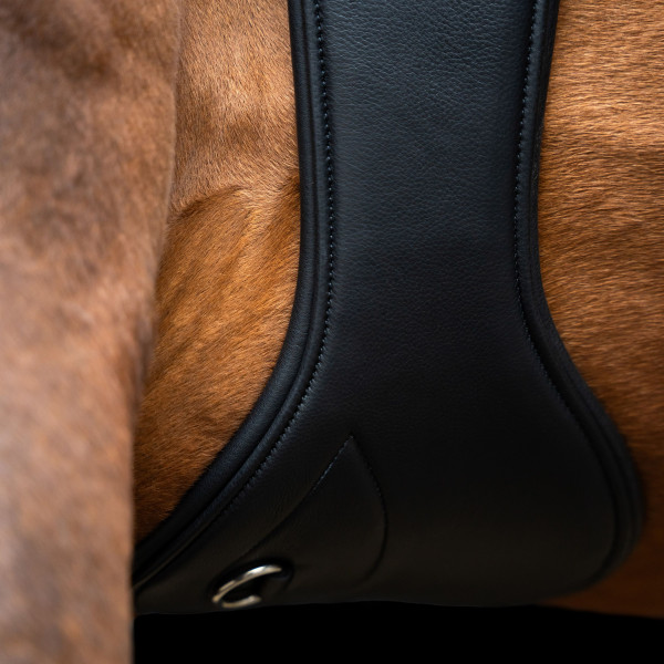 Imperial Riding Stollengurt IRH anatomisch Leder schwarz