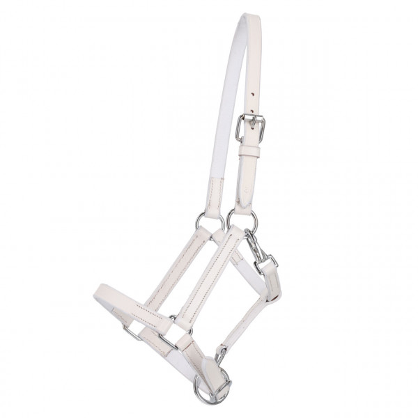 QHP Fohlen Lederhalfter mit Clip