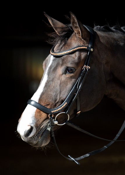 Harrys Horse Trense Rosegold Anatomic